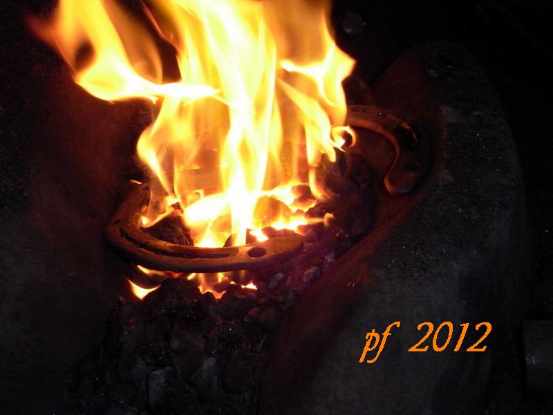pf 2012